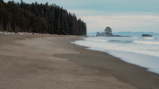 Did Someone Say Roadtrip?